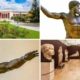 athens archeological museum